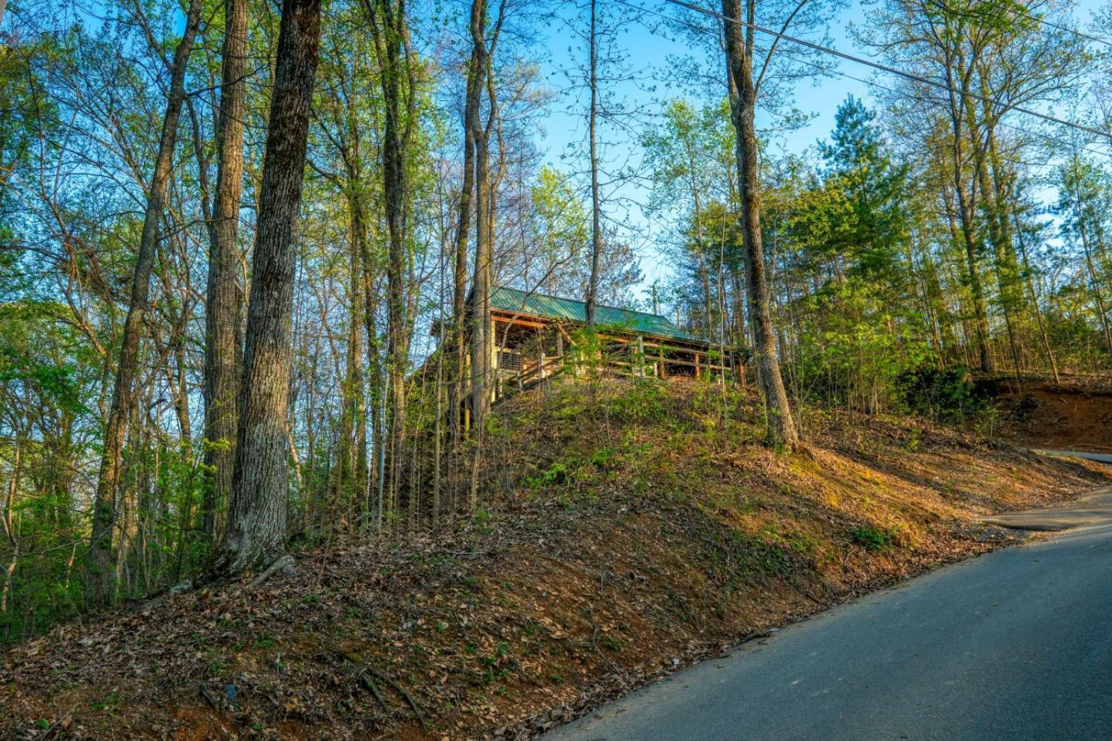 Little Bear Cabin Gatlinburg Luaran gambar
